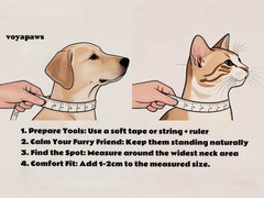 Crystal Harmony Pet Crystal Necklace