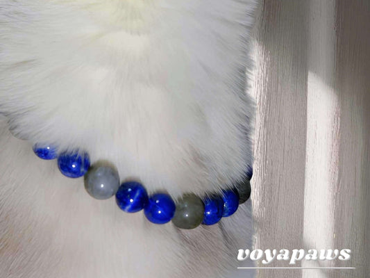 Celestial Protection Pet Crystal Necklace - Voyapaws
