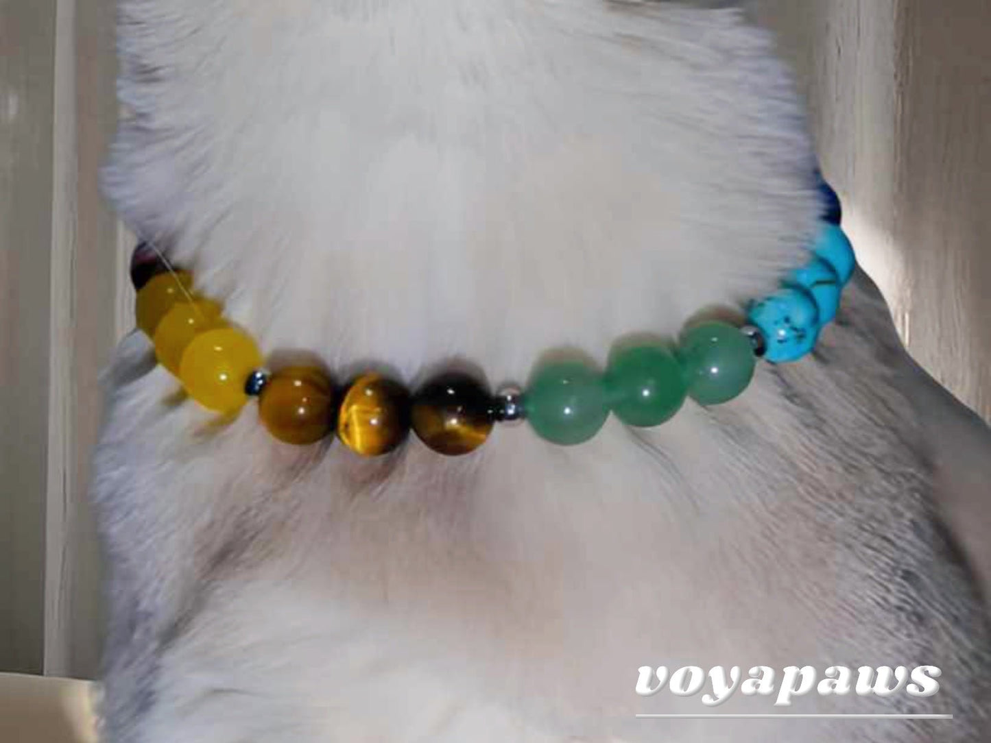 Colorful Energy Pet Crystal Necklace - Voyapaws