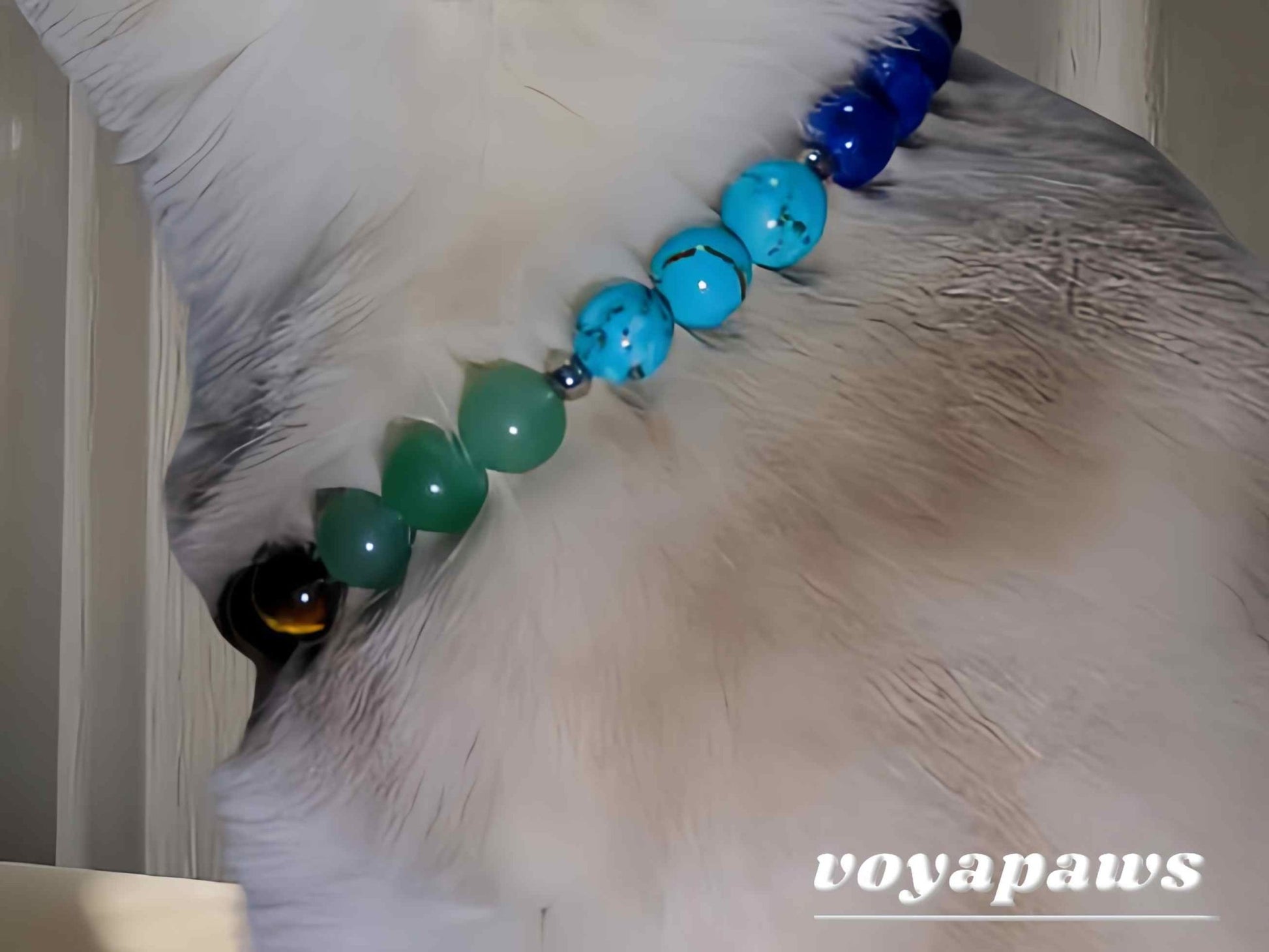 Colorful Energy Pet Crystal Necklace - Voyapaws