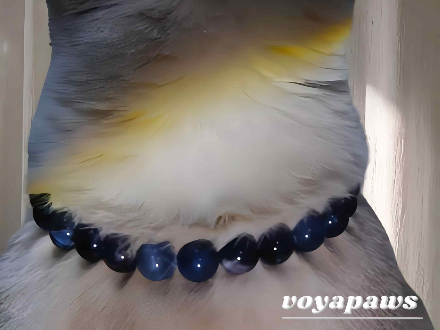 Ocean Whispers Pet Crystal Necklace - Voyapaws