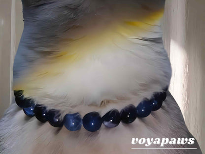 Ocean Whispers Pet Crystal Necklace - Voyapaws